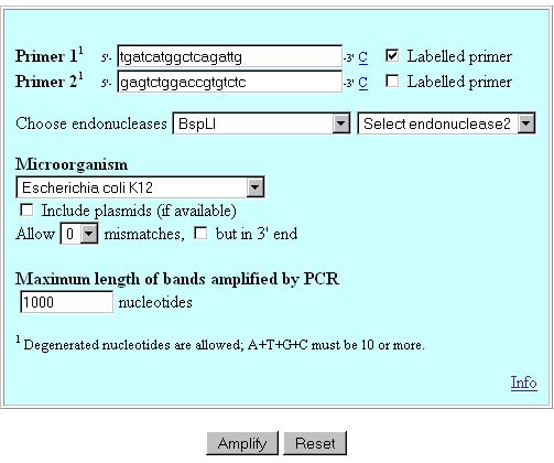 Introducing data in the form